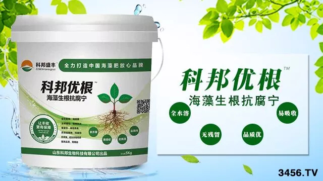 换茬护根,科邦优根促生新根,主根健壮,侧根发达换茬根系很重要,科邦优